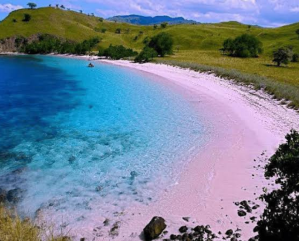 Trip Pantai Pink