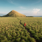Tour Harian – Eksplorasi Pulau Kenawa dan Sekitarnya